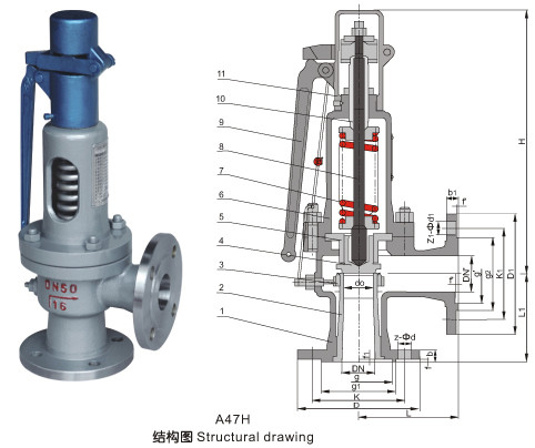 �����ֵ���΢��ʽ��